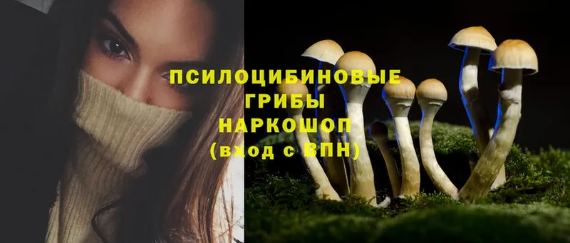 Псилоцибиновые грибы Magic Shrooms  ссылка на мегу ссылки  Гаджиево 